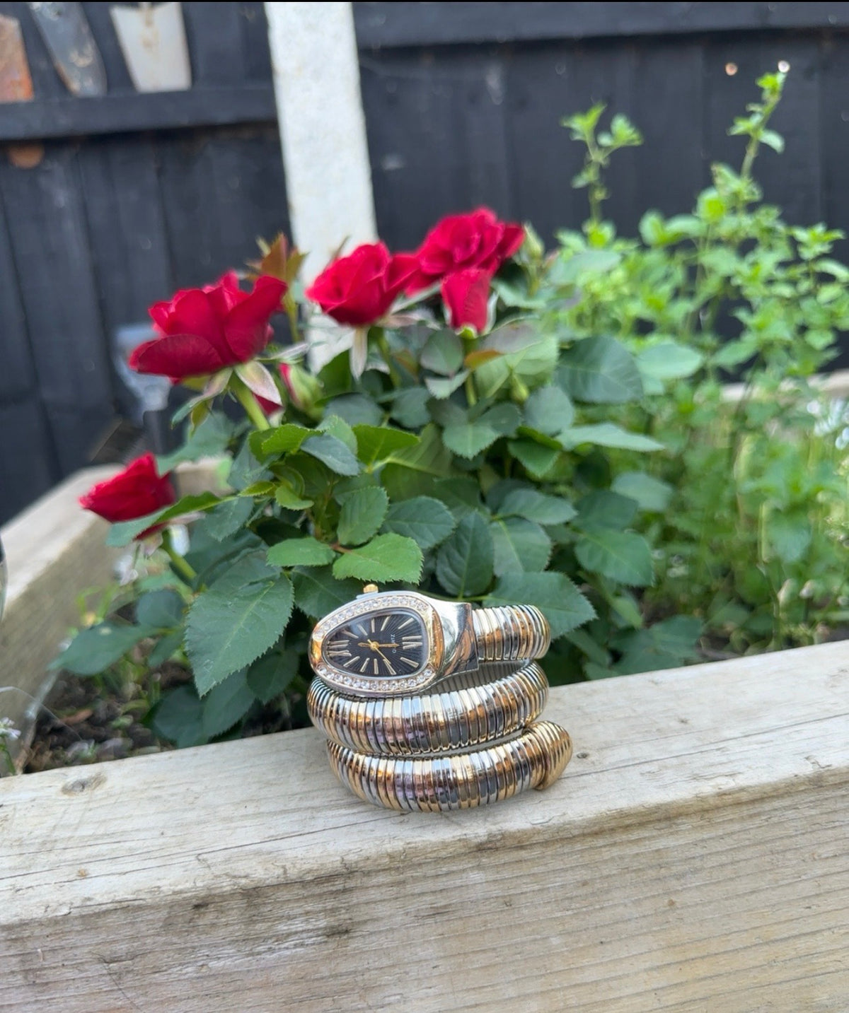 Luxury Wrapped Around Your Wrist